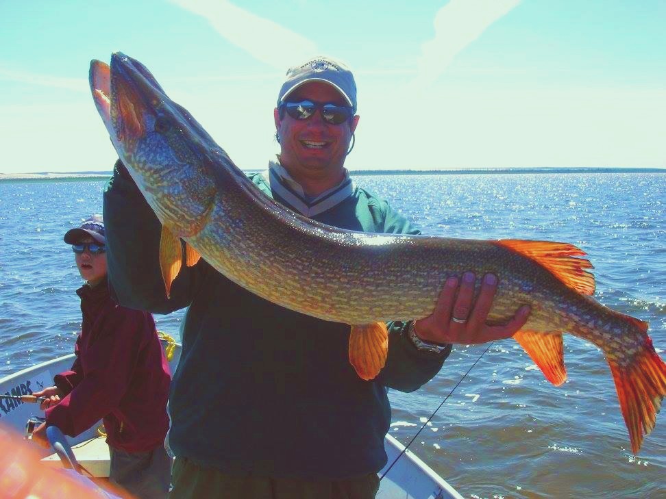 How is Gold Formed Naturally? Charles Reed Cagle