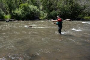 fishing license